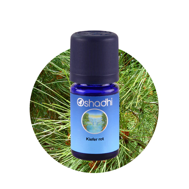 Norsk fyr - æterisk olie