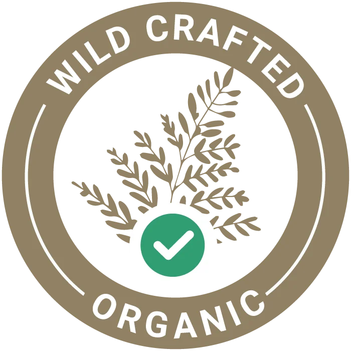 Galbanum - æterisk olie