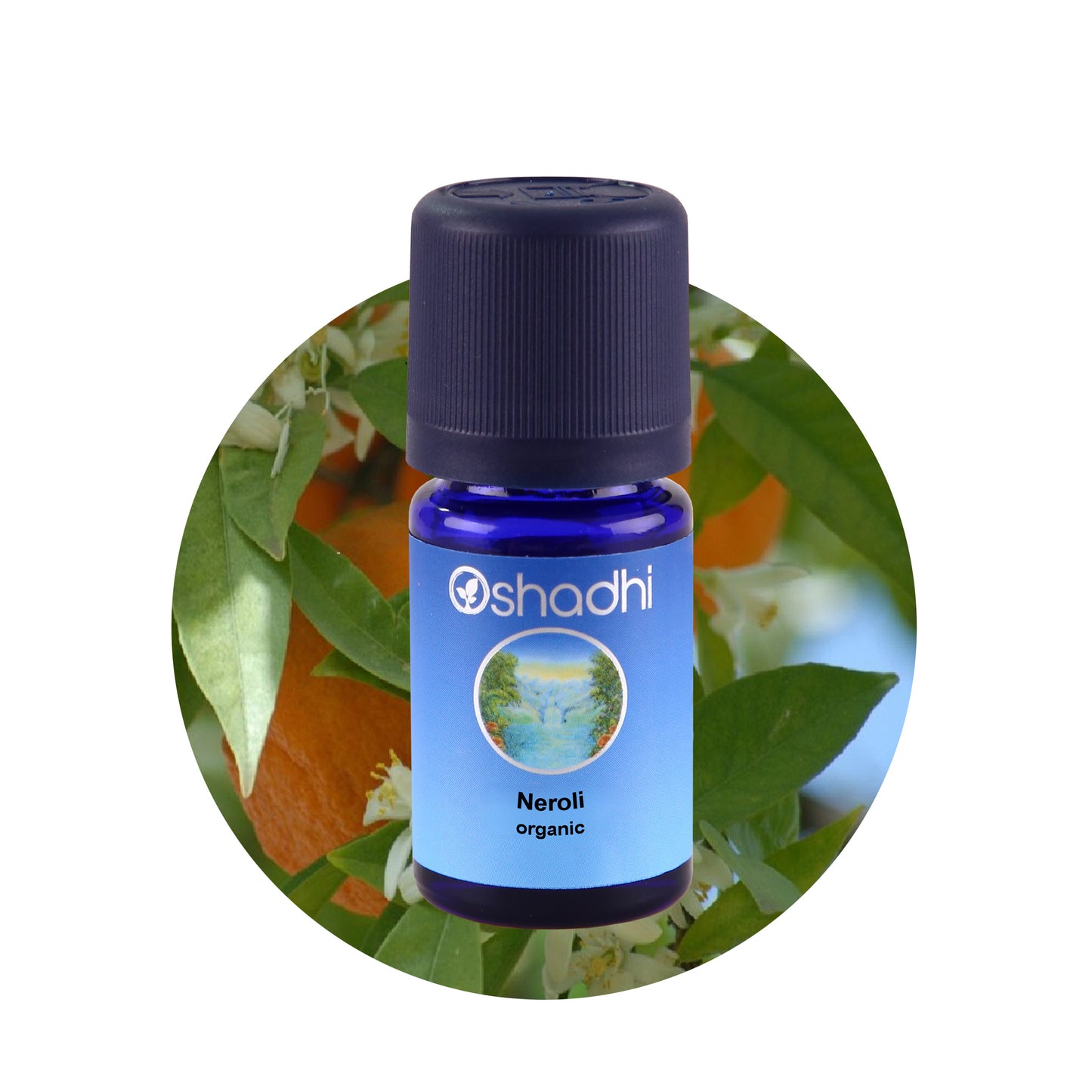 Neroli, som også kaldes for Orangeblomstolie, har en frisk blomsterduft og giver en følelse af ro. Desuden kan den virke stemningsløftende og god i stressede situationer.