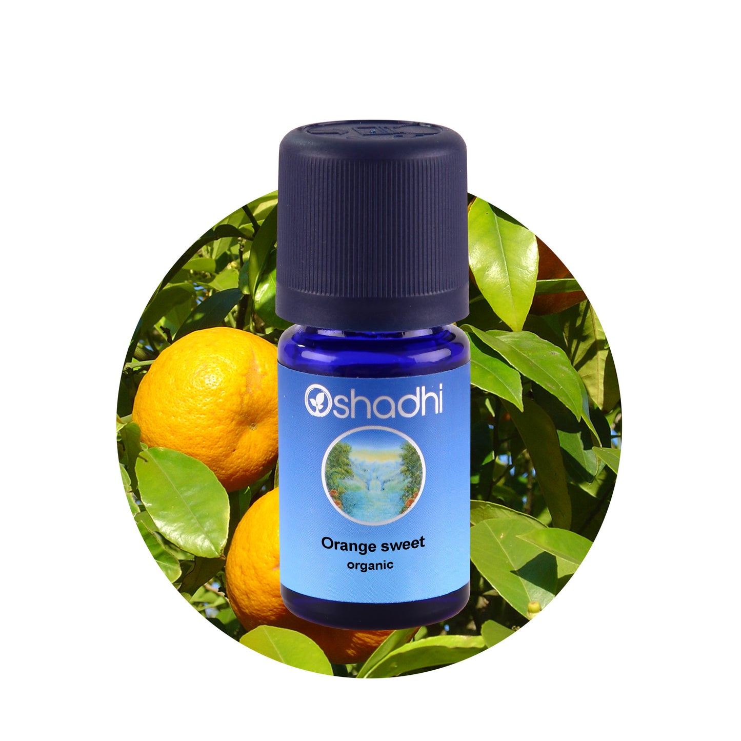 Sød appelsin - æterisk olie