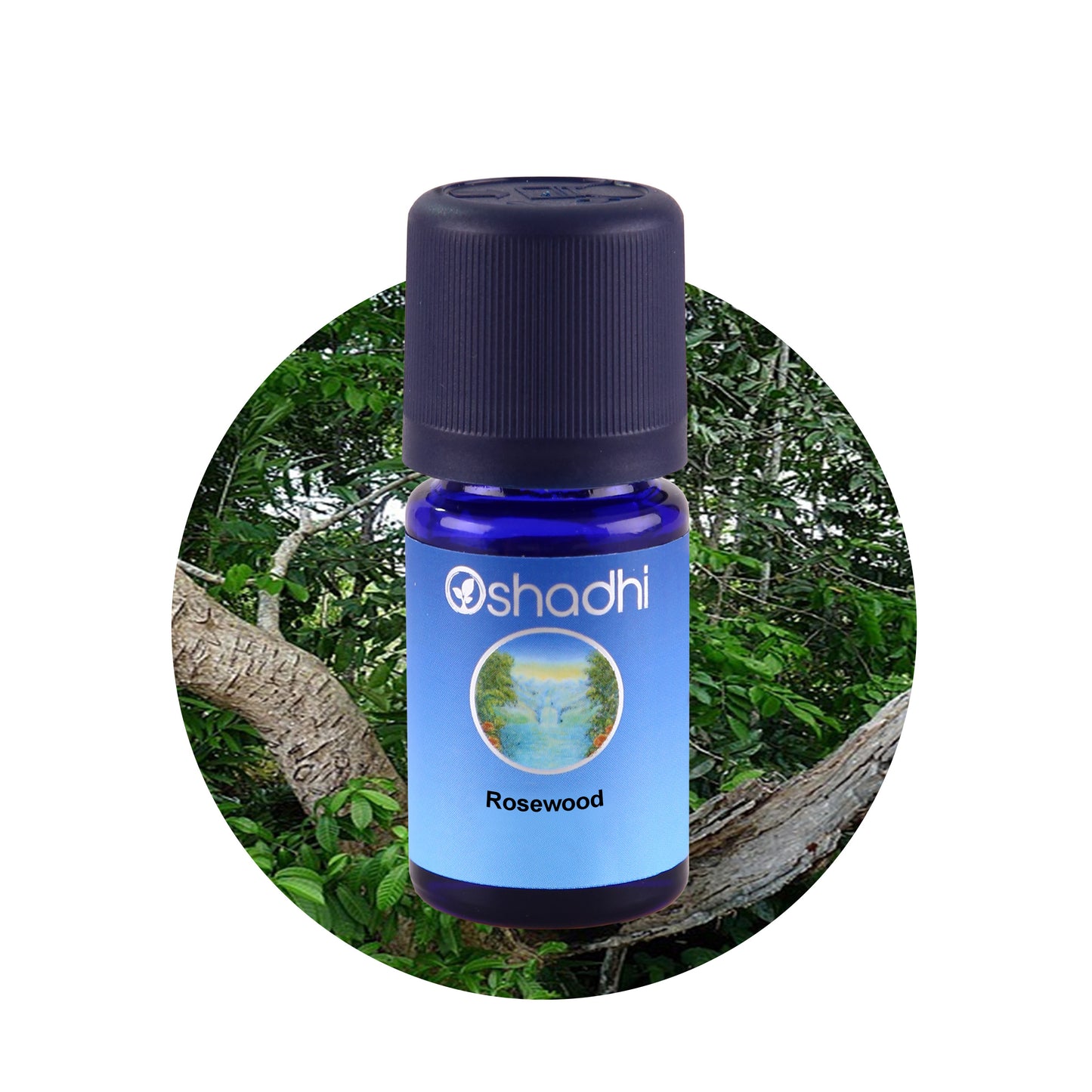 Rosentræ - æterisk olie