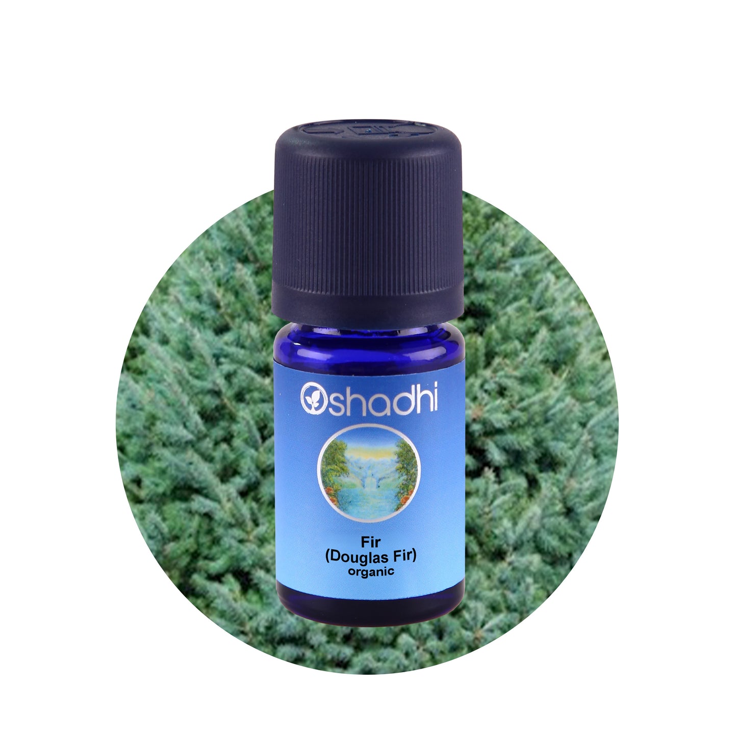 Douglas fyr, Grantræ - æterisk olie