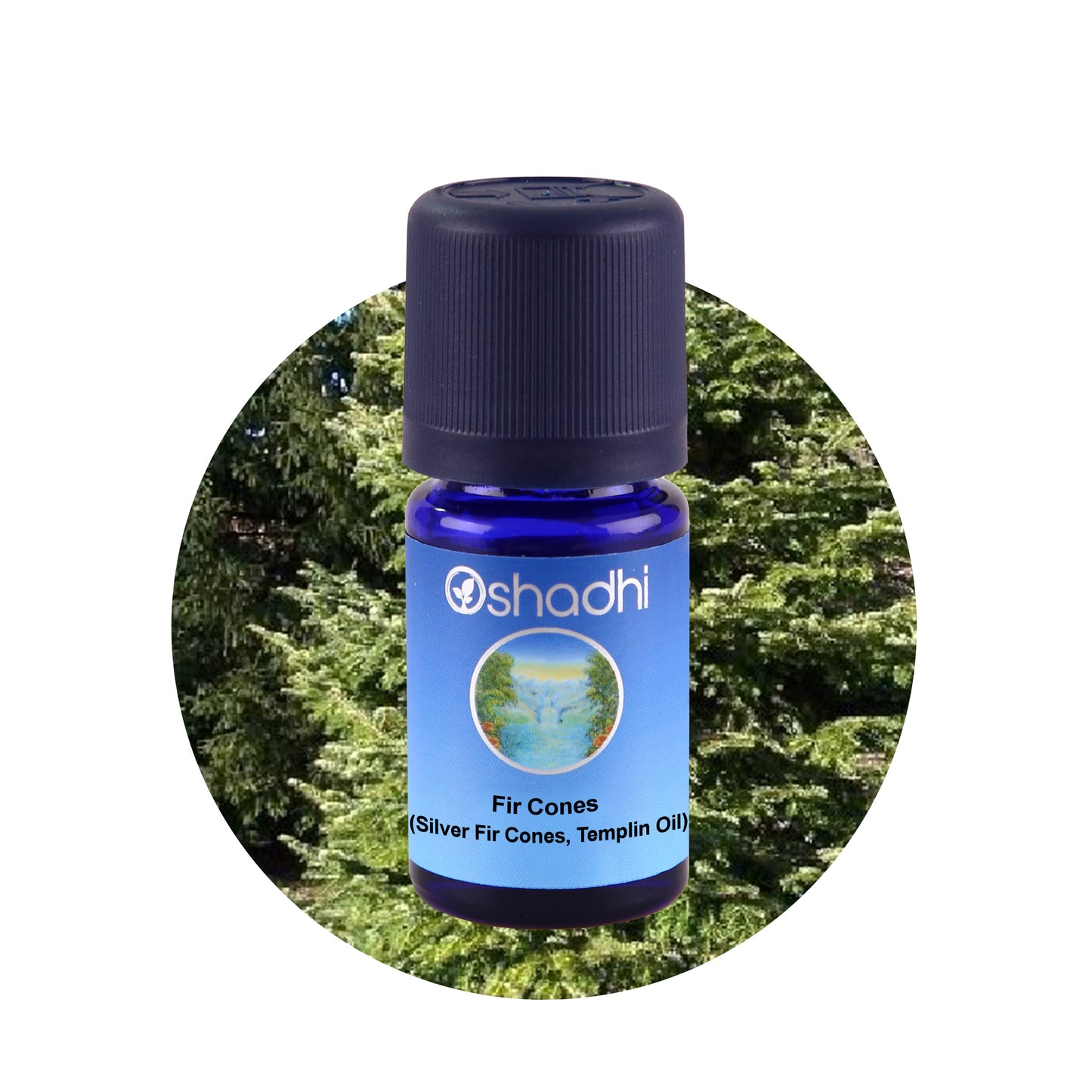 Sølvgran - æterisk olie