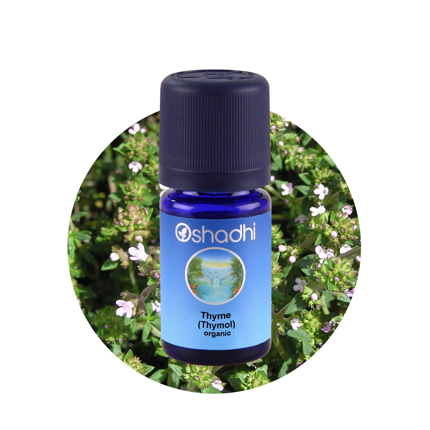Den økologiske timian olie er en must have æterisk olie. Timian har en kraftig og god duft. 100% økologisk, naturlig og vegansk æterisk olie.
