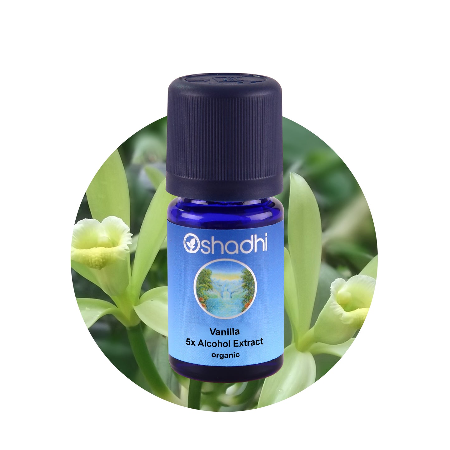 Vanilje - æterisk olie