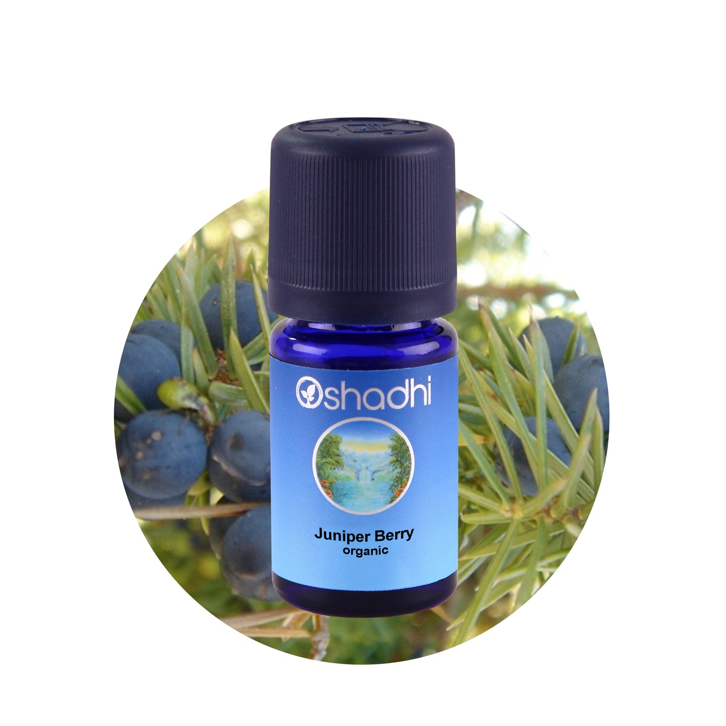 Enebær - æterisk olie