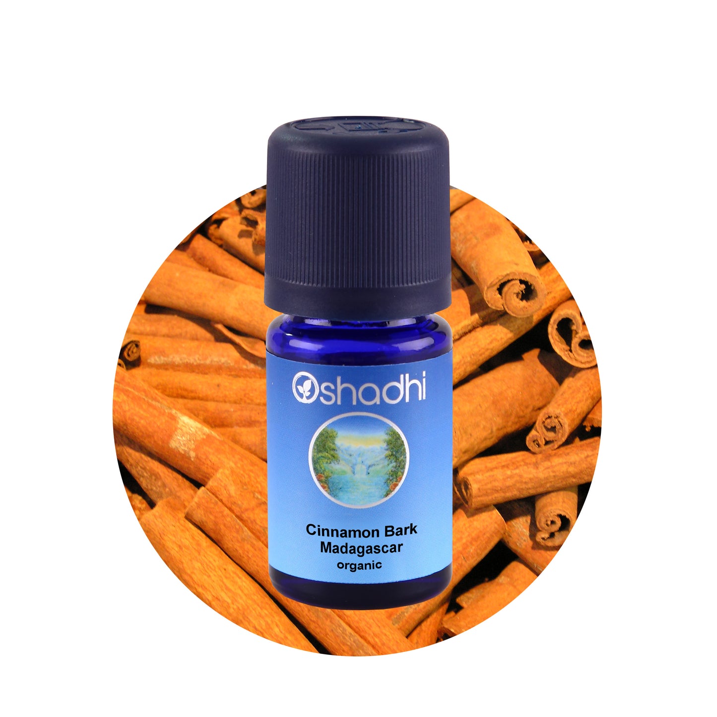 Kanelbark - æterisk olie