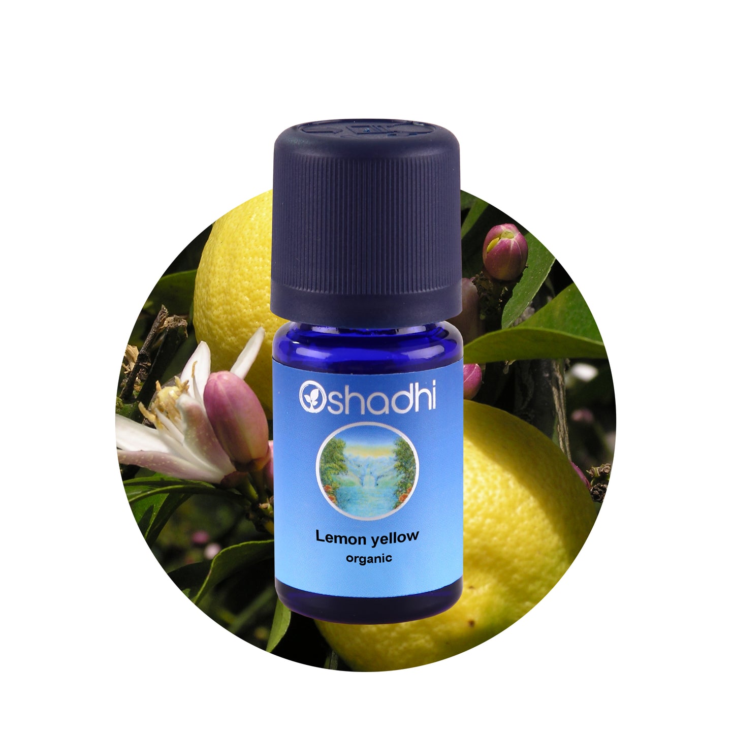 Citron - æterisk olie