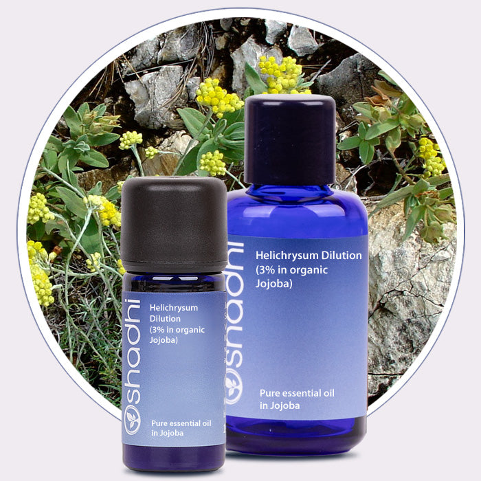 Helichrysum i Jojoba olie